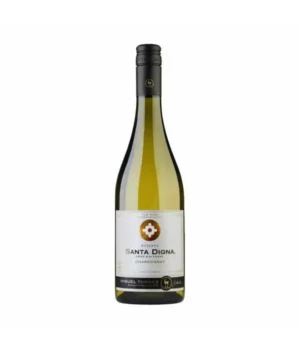 VINO BLANCO SANTA DIGNA RVA CHARDONNAY 750 ml