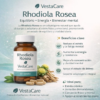 RHODIOLA